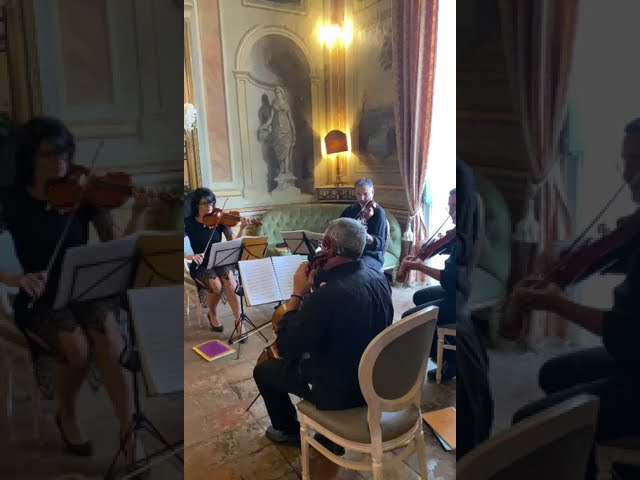 Galleria Video Vincenzo Cecere Violinista 